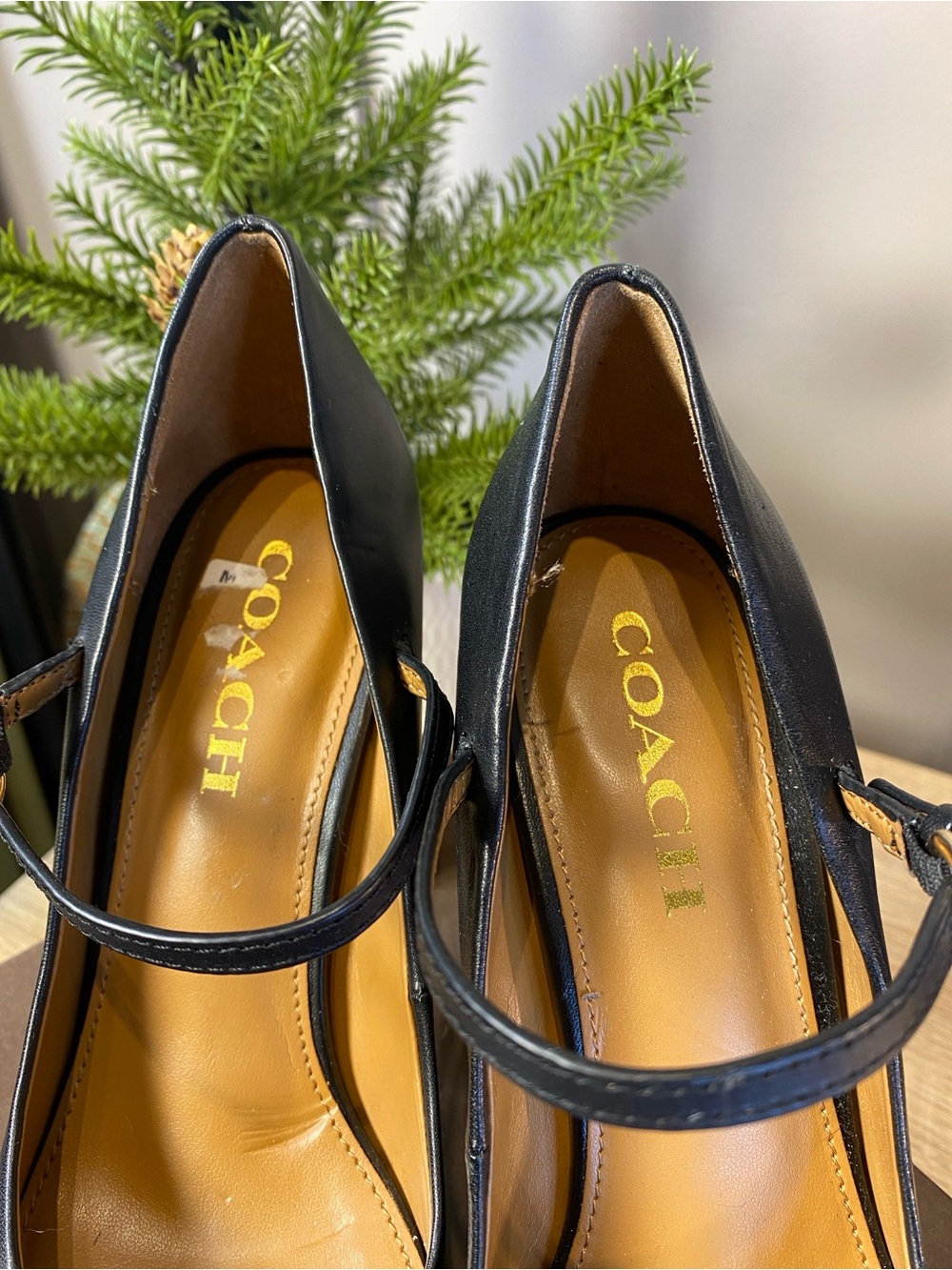 Women's Coach Black Leather Goldie Mary Jane
Platform Pumps 7.5 - Picture 8 of 13